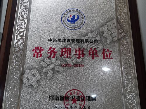 河南省建設監理協(xié)會(huì )常務(wù)理事單位